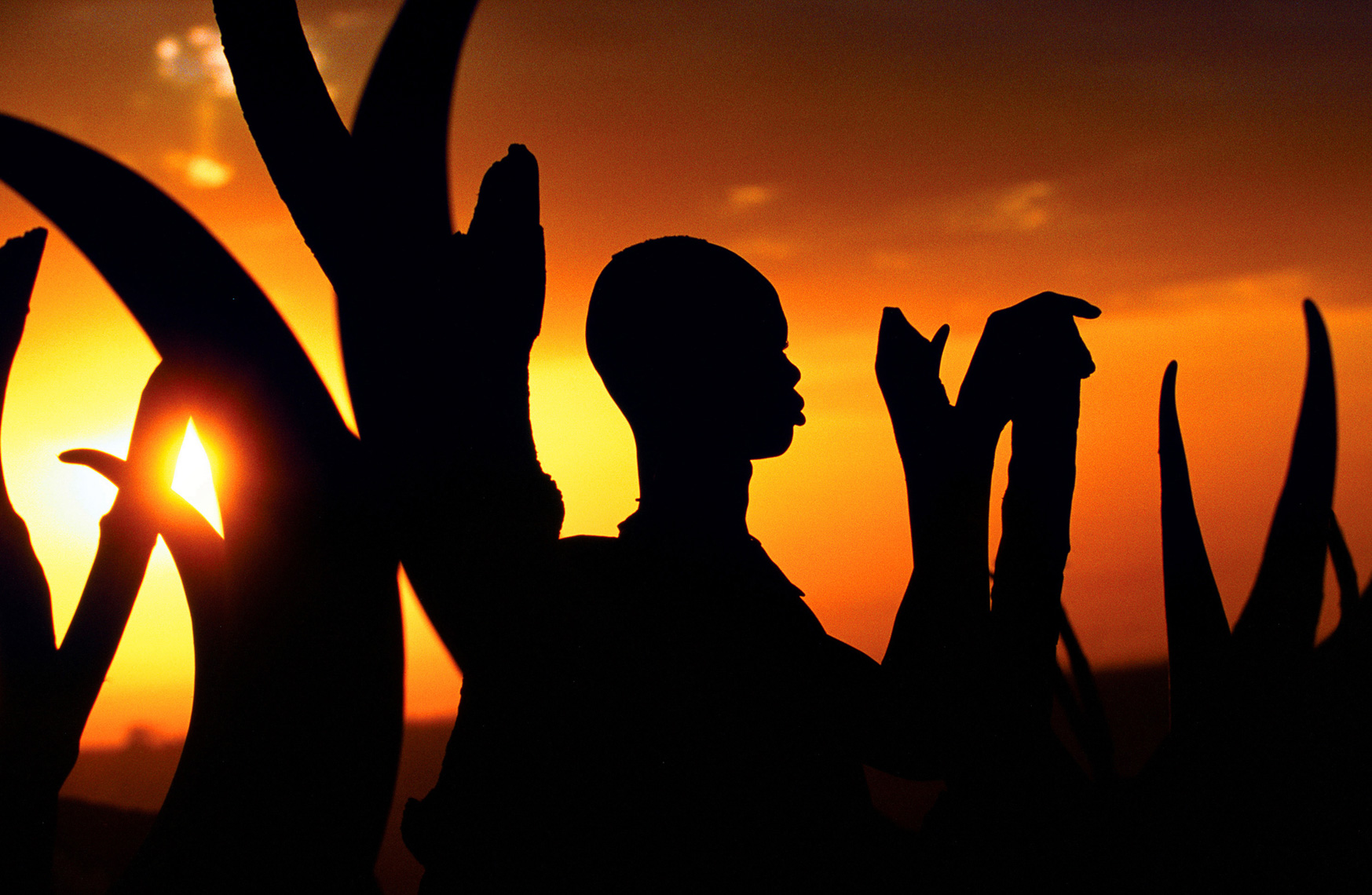 Silhouette of Dinka Man with Horns, South Sudan