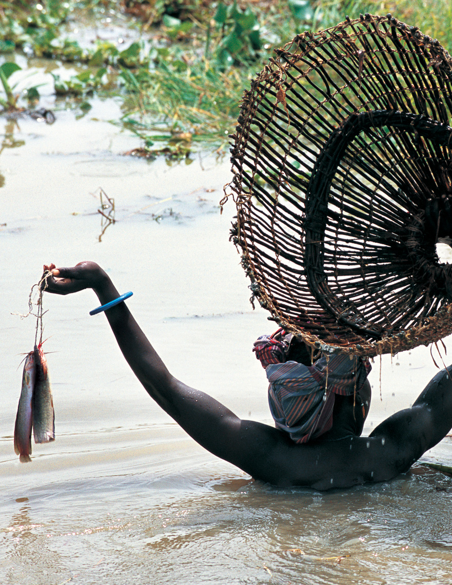 Dinka Woman Fishing with Basket, South Sudan