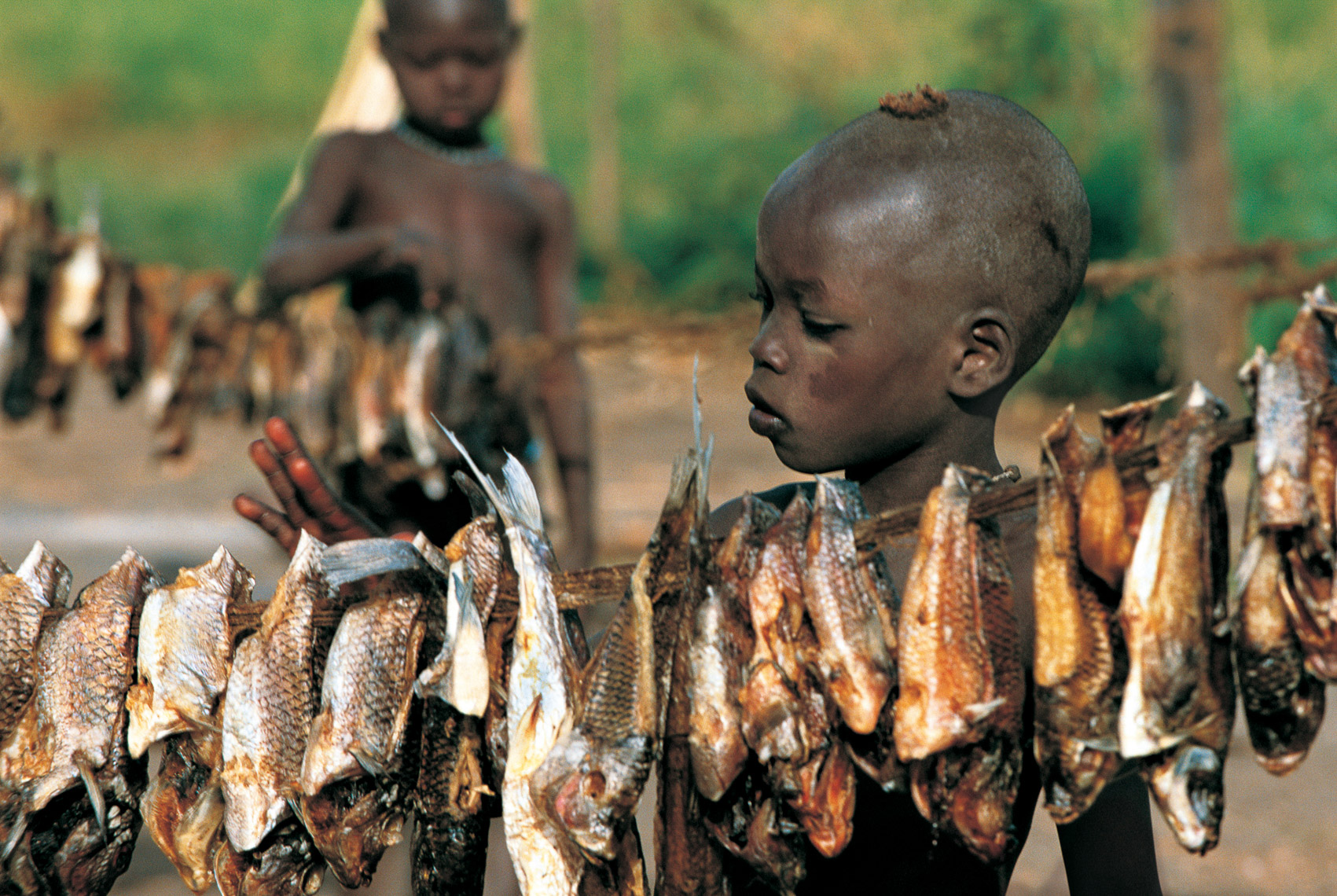 Dinka Child Drying Fish in the Sun, South Sudan