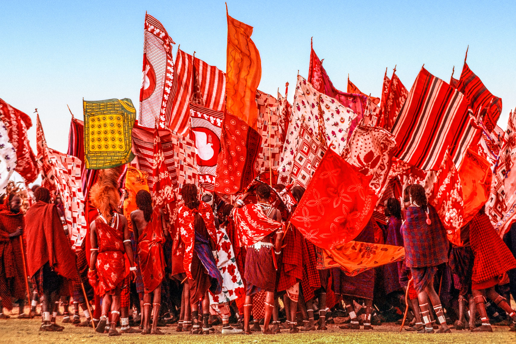 Salei Maasai Warriors Bearing Flags, Tanzania